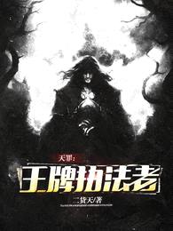 天罪:王牌执法者